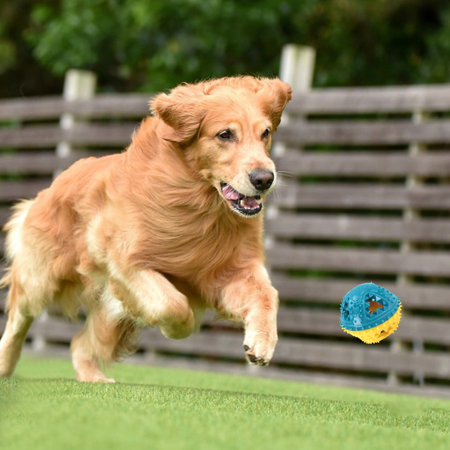 Engaging Puzzle Ball for Smart Dogs - Best Pets Bargain