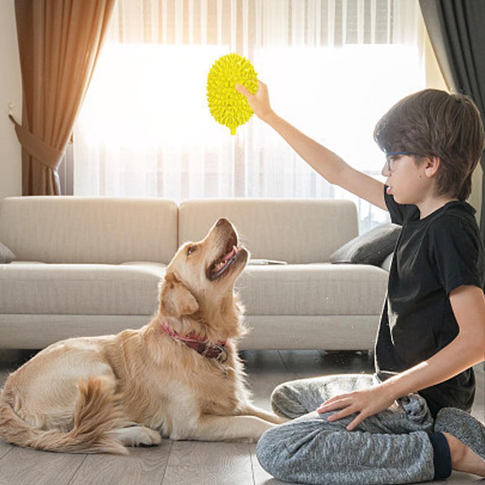 Dental Care Chew Ball for Dogs