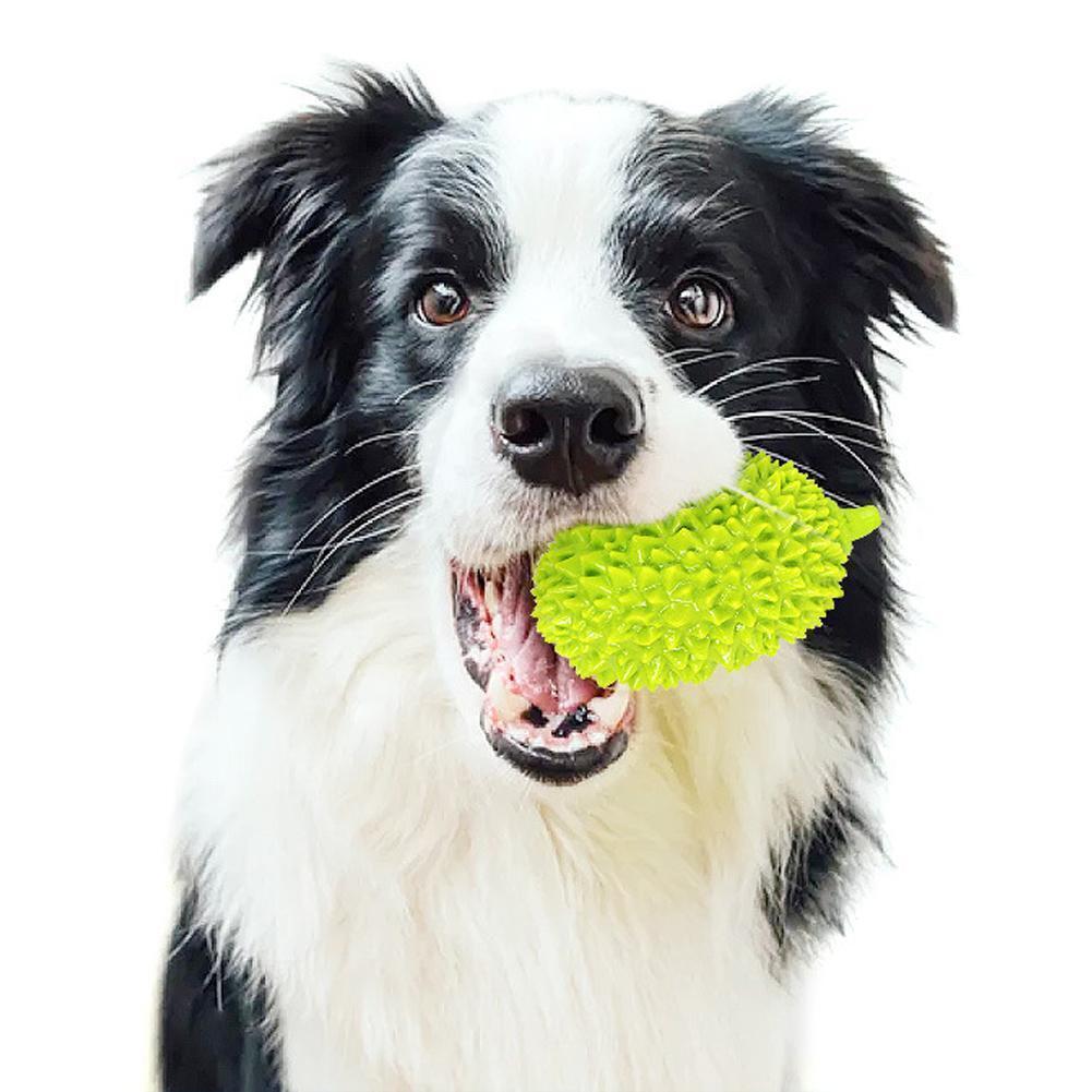 Dental Care Chew Ball for Dogs