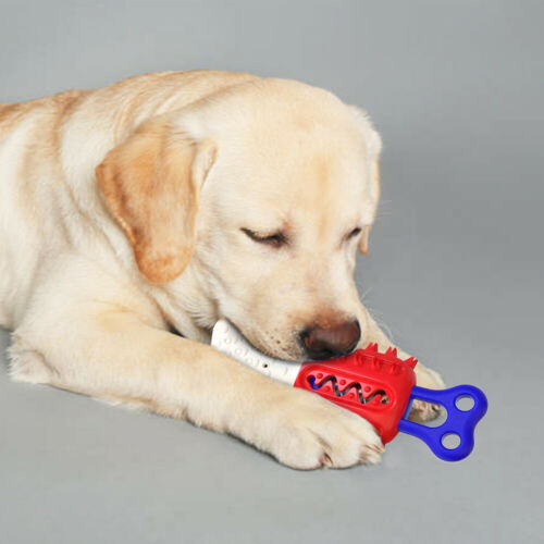 Ice-Lolly Molar Stick for Dogs - Best Pets Bargain