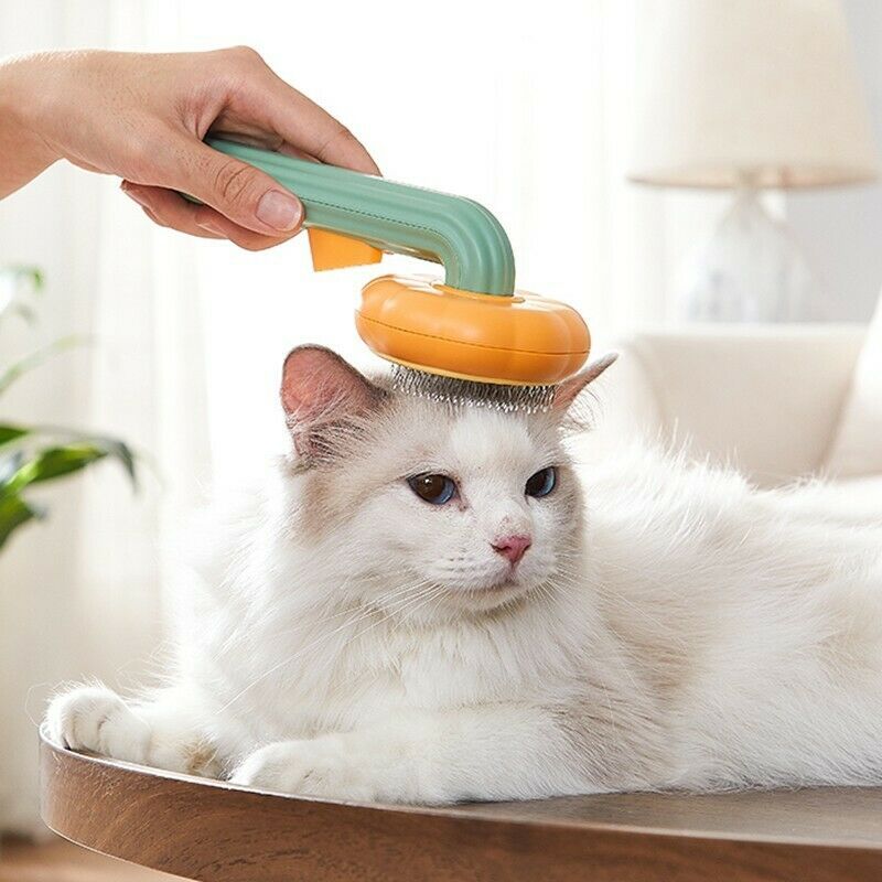 Gentle Needle Comb for Healthy Pet Fur - Best Pets Bargain
