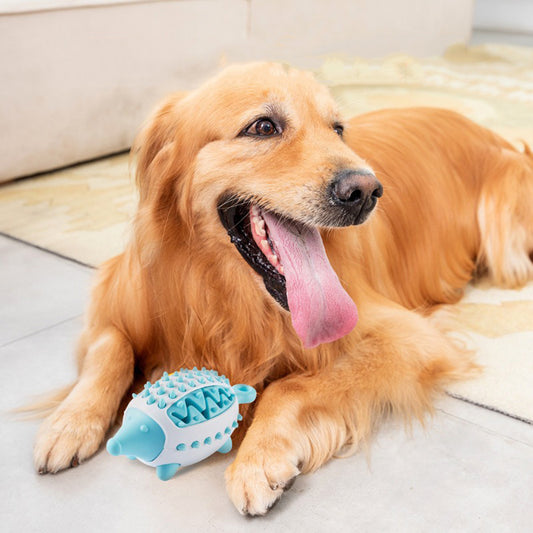IQ-Boosting Fetch Ball for Dogs and Cats - Best Pets Bargain
