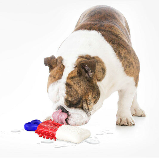 Ice-Lolly Molar Stick for Dogs - Best Pets Bargain